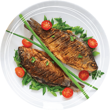 fish